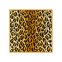 Leopard Pattern